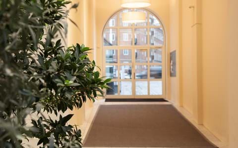 Bing, Mellau_6..afpassede tæpper, sisal